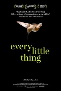 Every Little Thing (2024) online